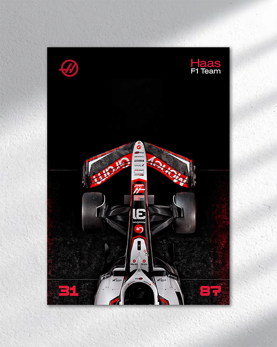 Haas F1 Poster